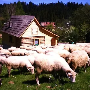  Domek alpejski Domek Przy Olczyskiej Polska